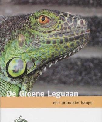 De Bedreigde Dierenreeks - De Groene leguaan