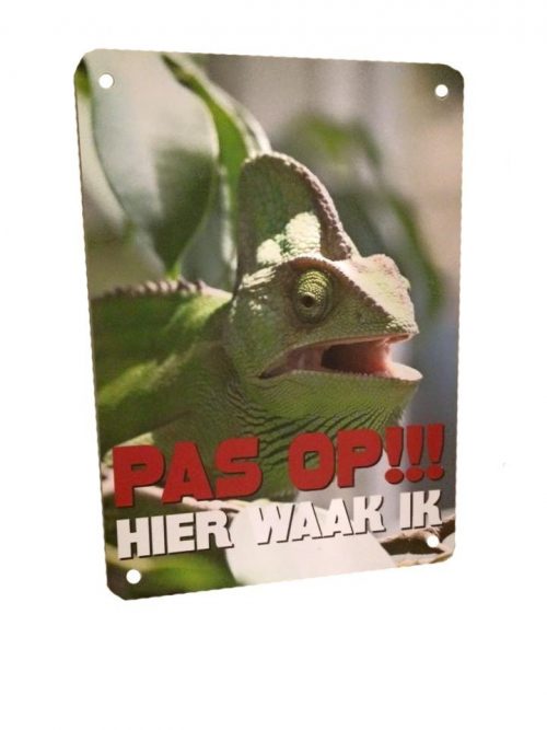 Jemen Kameleon PAS OP