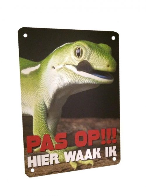 Hagedis PAS OP