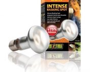 Exo Terra Intense Basking Spot