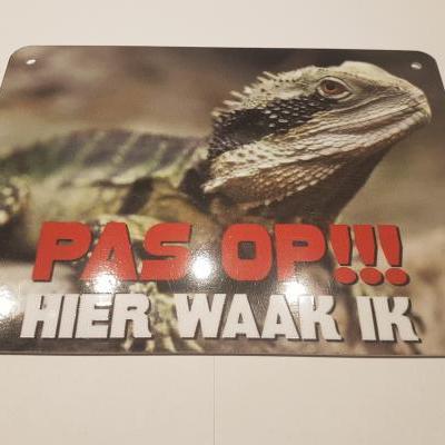 Australische Wateragaam PAS OP
