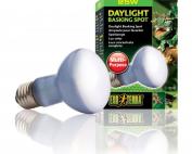 Exo Terra Daylight Basking Spot