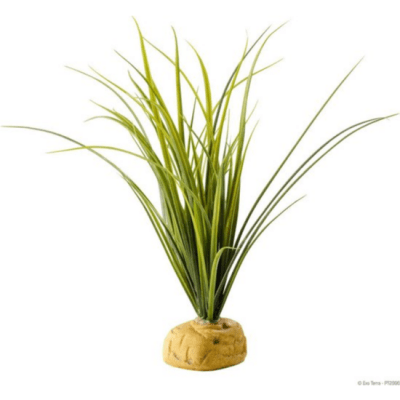 Exo Terra Turtle Grass