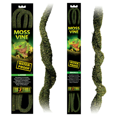 Repti vine small large