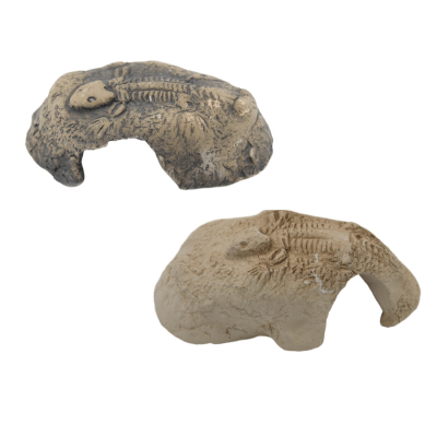 CeramicNature Fossil stone