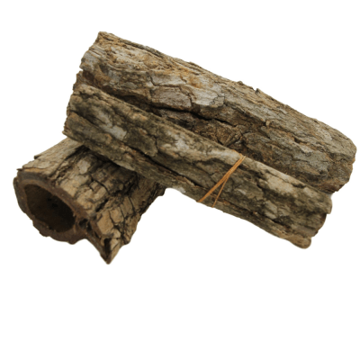 Catappa bark tubes